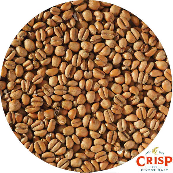 Torrefied Wheat - Crisp Maltings
