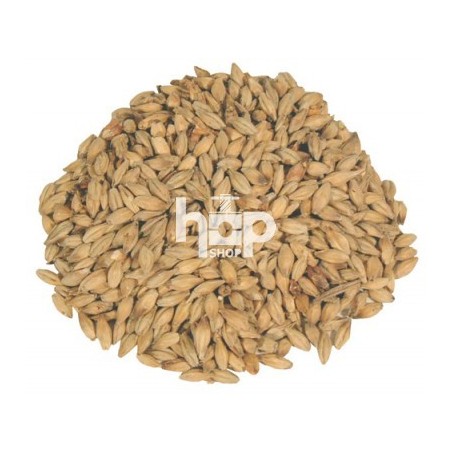 Biscuit Malt Biscuit Malt