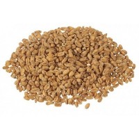 Oak Smoked Wheat Malt