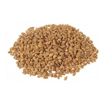 Oak Smoked Wheat Malt