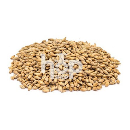 Weyermann Barke® Pilsner Malt