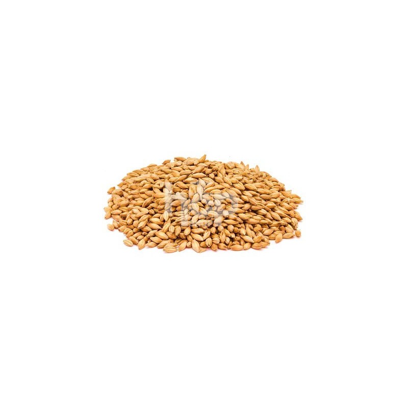 Abbey Malt