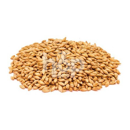 Abbey Malt Abbey Malt