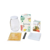 Kombucha Scoby