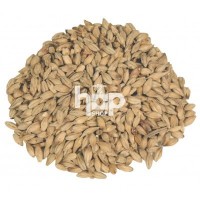 Peated Malt