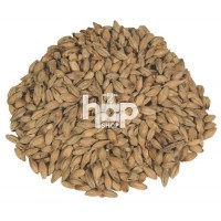 Weyermann CaraPils Malt