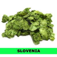 Styrian Goldings Hops 100g