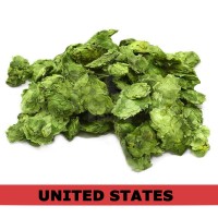 Centennial Hops 100g