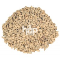 Belgian Pilsner Malt