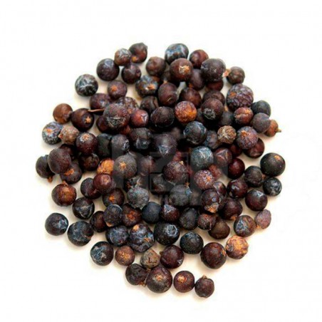 Juniper Berries