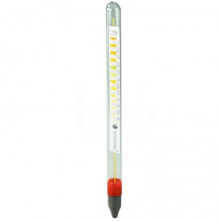 Floating Glass Thermometer