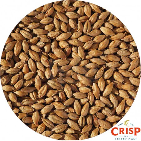 Close-up of Crisp Light Munich Malt grains – British specialty malt adding biscuit, honey, and golden hue. Close-up of Crisp Light Munich Malt grains – British specialty malt adding biscuit, honey, and golden hue.