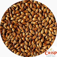 Crystal Medium Malt - Crisp Maltings