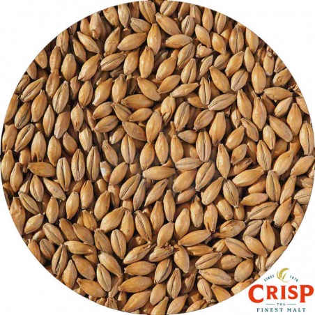 Close-up of Crisp Caramalt grains – British light caramel malt for golden ales, bitters, and IPAs.