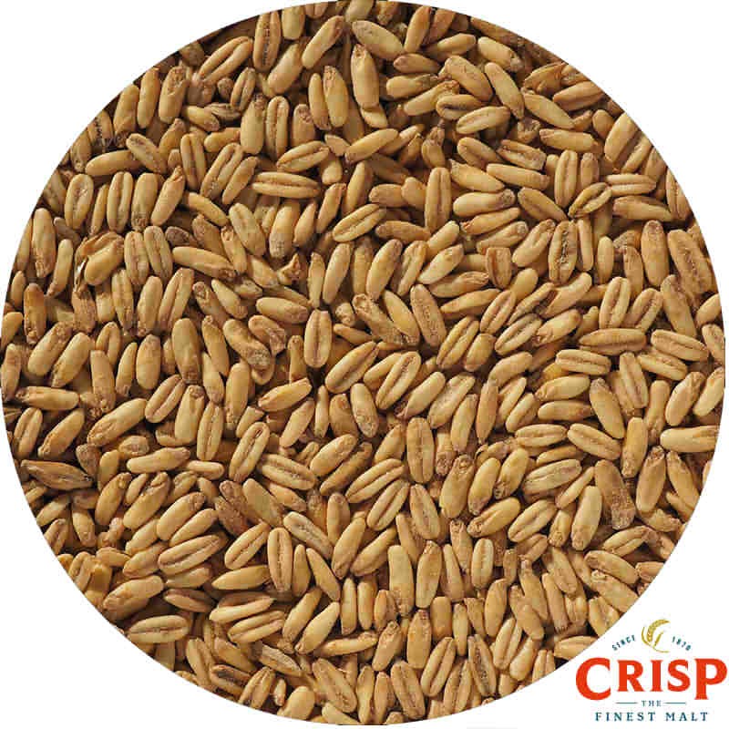 Naked Oat Malt Crisp Maltings