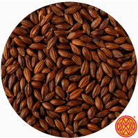 CaraAroma malt from Weyermann. Dark caramel malt with raisin and toasted sugar notes for stouts and strong lagers.