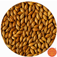 Weyermann CaraAmber malt – light-medium caramel malt for smooth colour, toffee flavour, and body in ambers and lagers.