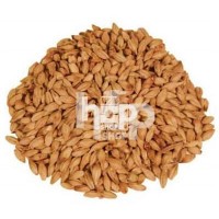 Caramel Malts for All Grain Home Brewing