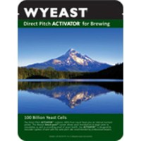 Beer Yeast | Brewing Yeast | Beer Making