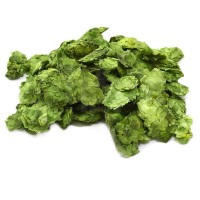 Aroma Hops for Beer Making | The Home Brew Hop Shop