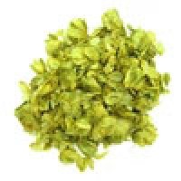  Bittering Hops for Beer Making | The Home Brew Hop Shop