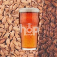 Beer Additives and Enzymes for Beer Making