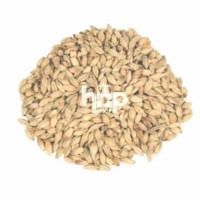 Organic Malts | Home Brewing Malt