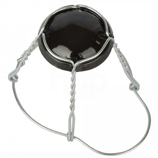 Champagne Cage & Lid (Pack of 25)