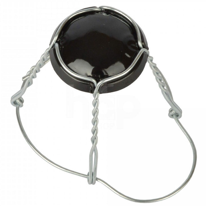 Champagne Cage & Lid (Pack of 25)