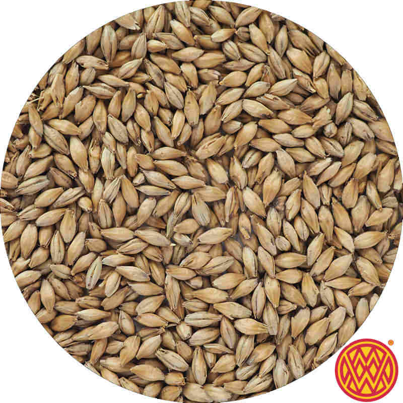 Barke® Pilsner Malt - Weyermann