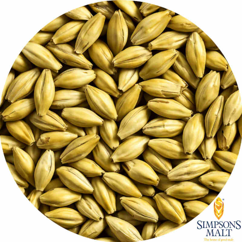 Aromatic Malt - Simpsons Malt
