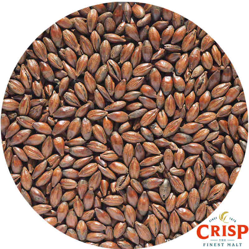 Chocolate Malt - Crisp Maltings