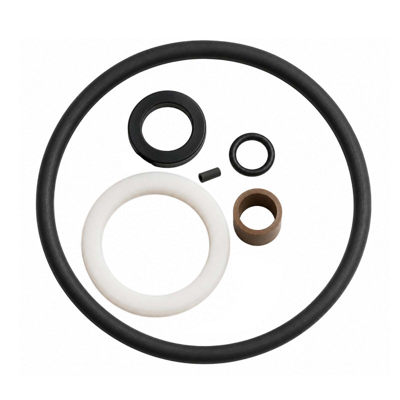Valve & Cap Seal Set for Pressure Barrels